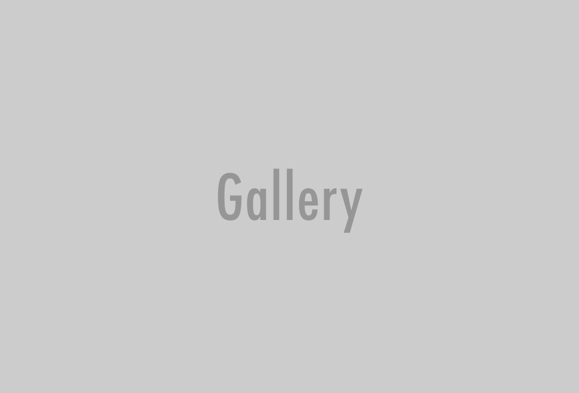 gallery-2